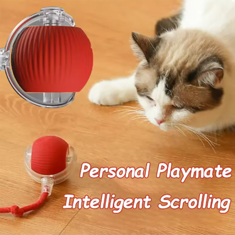Hot Dog Toys Are Automatically Teasing Cat Balls and Self-Exciting Cat Sticks and Ticks and Resistant to Wear and Bite Pet Toys